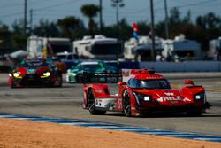 #31 Action Express Racing Cadillac DPi, P: Eric Curran, Mike Conway, Felipe Nasr