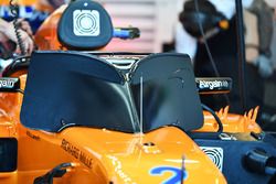 Stoffel Vandoorne, McLaren MCL33 en schermen
