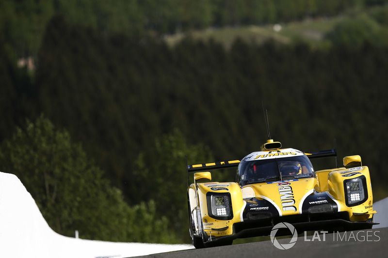 #29 Racing Team Nederland Dallara P217: Frits van Eerd, Giedo van der Garde, Jan Lammers