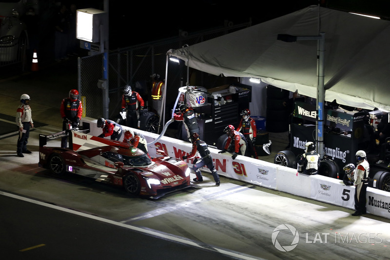 #31 Action Express Racing Cadillac DPi: Felipe Nasr, Eric Curran, Mike Conway, Stuart Middleton