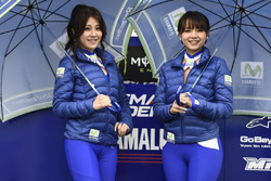 MotoGP 2017 Motogp-japanese-gp-2017-girls