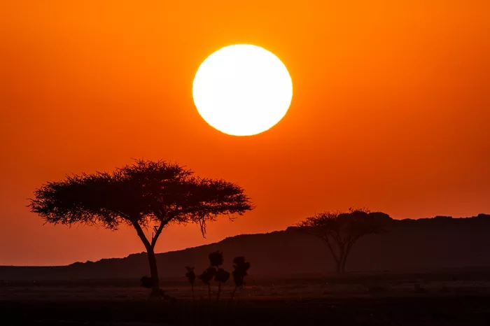 Sunrise