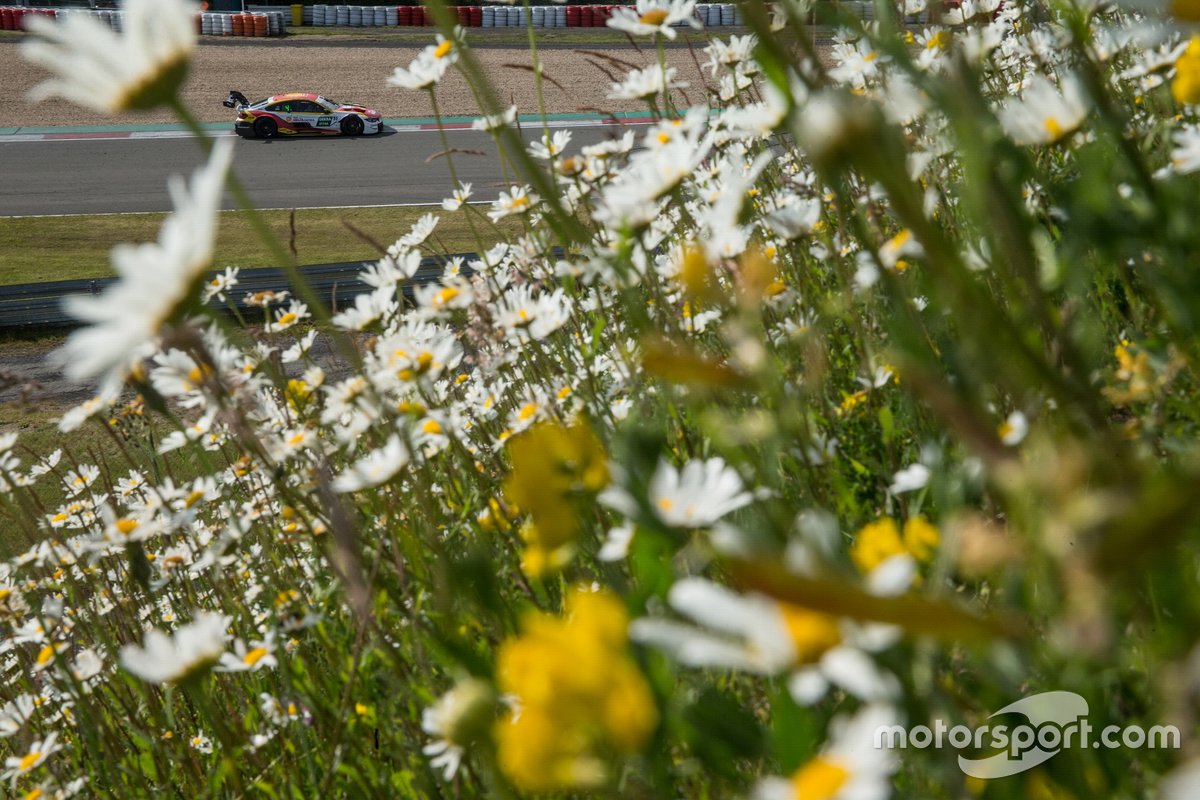 Sheldon van der Linde, BMW Team RBM, BMW M4 DTM
