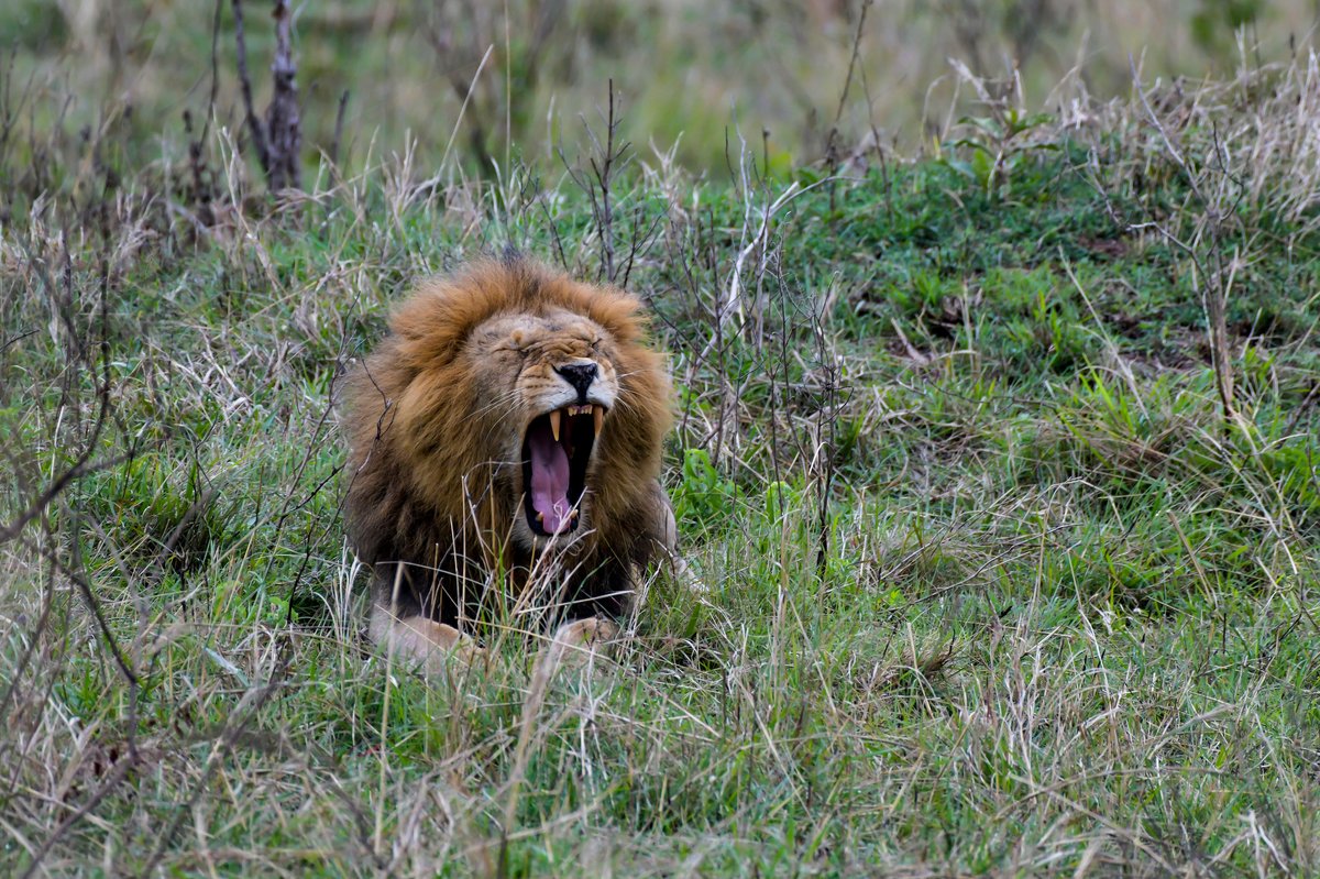 Atmosphere in Kenya