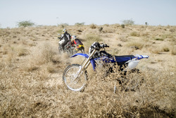Action