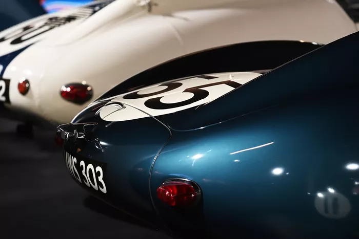 Jaguar Type D