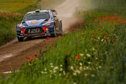 Hayden Paddon, Sebastian Marshall, Hyundai i20 WRC, Hyundai Motorsport