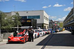 #31 Action Express Racing Cadillac DPi: Eric Curran, Dane Cameron