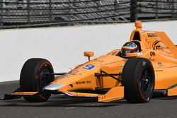 Fernando Alonso, Andretti Autosport, Honda
