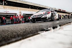 Norbert Michelisz, Honda Racing Team JAS, Honda Civic WTCC