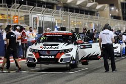 Gianni Morbidelli, Honda Civic TCR, West Coast Racing