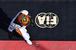 Стоффель Вандорн, McLaren