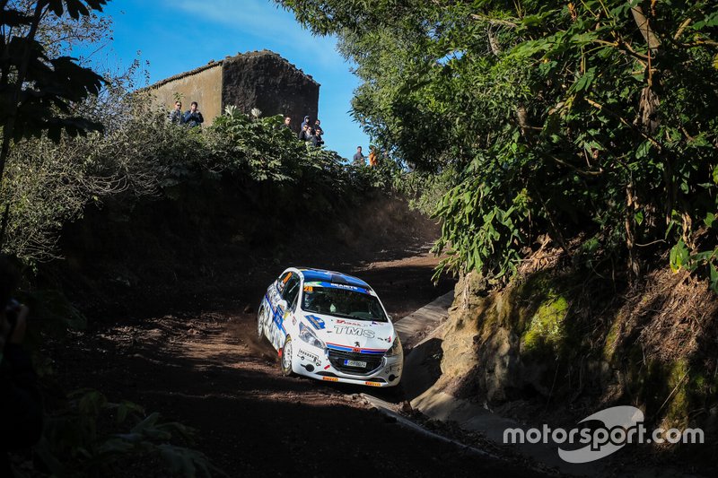 Dominik Brož, Petr Těšínský, Peugeot 208 R2