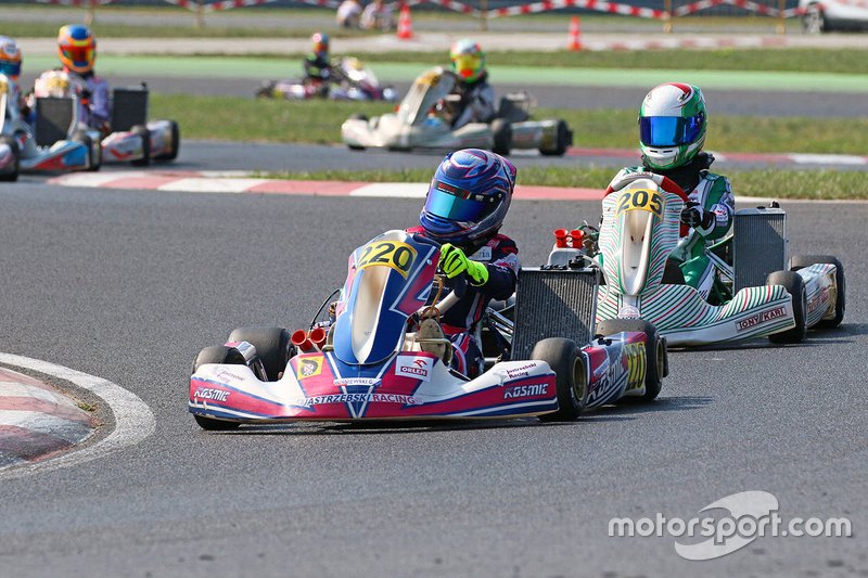 Rok Cup Poland