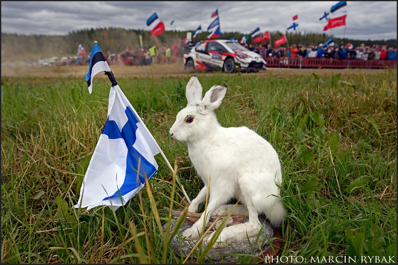 Rajd Finlandii 2019