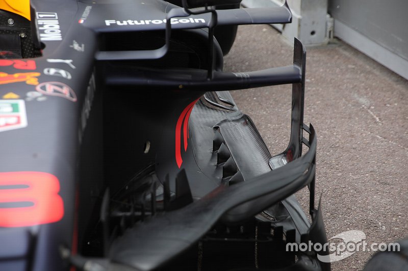 Red Bull nose detail