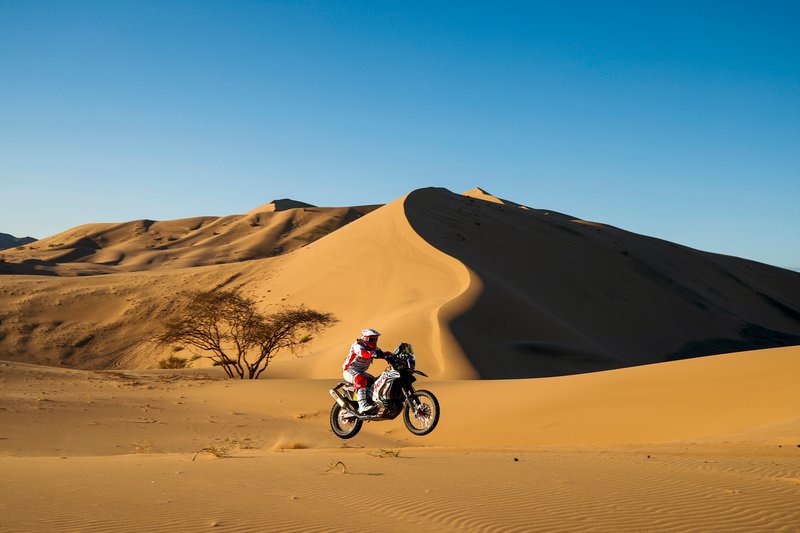#8 Hero Motosports Team Rally: Paulo Goncalves