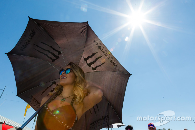 Grid Girl em Curvelo