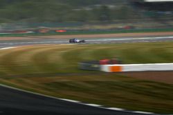 Marcus Ericsson, Sauber C36