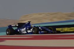 Marcus Ericsson, Sauber C36