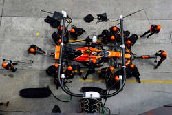 Stoffel Vandoorne, McLaren MCL32, pit stop action