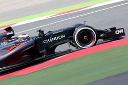 Stoffel Vandoorne, pilote d'essais et de réserve McLaren MP4-31