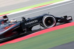 Stoffel Vandoorne, McLaren MP4-31 Test Pilotu