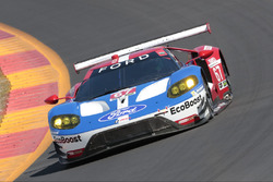 #67 Ford Performance Chip Ganassi Racing Ford GT: Ryan Briscoe, Richard Westbrook