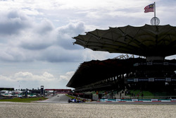 Marcus Ericsson, Sauber C36