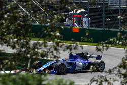 Pascal Wehrlein, Sauber C36
