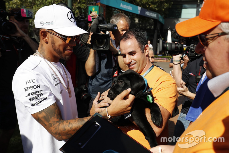 Lewis Hamilton, Mercedes AMG, con un fan y un perro