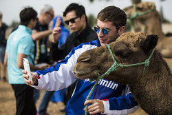 Robin Frijns, Amlin Andretti Formula E Team