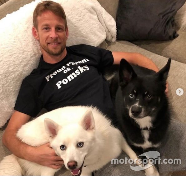 Jenson Button com Rogue e Storm. O campeão da F1 em 2009 também tem outro cachorro chamado Bentley