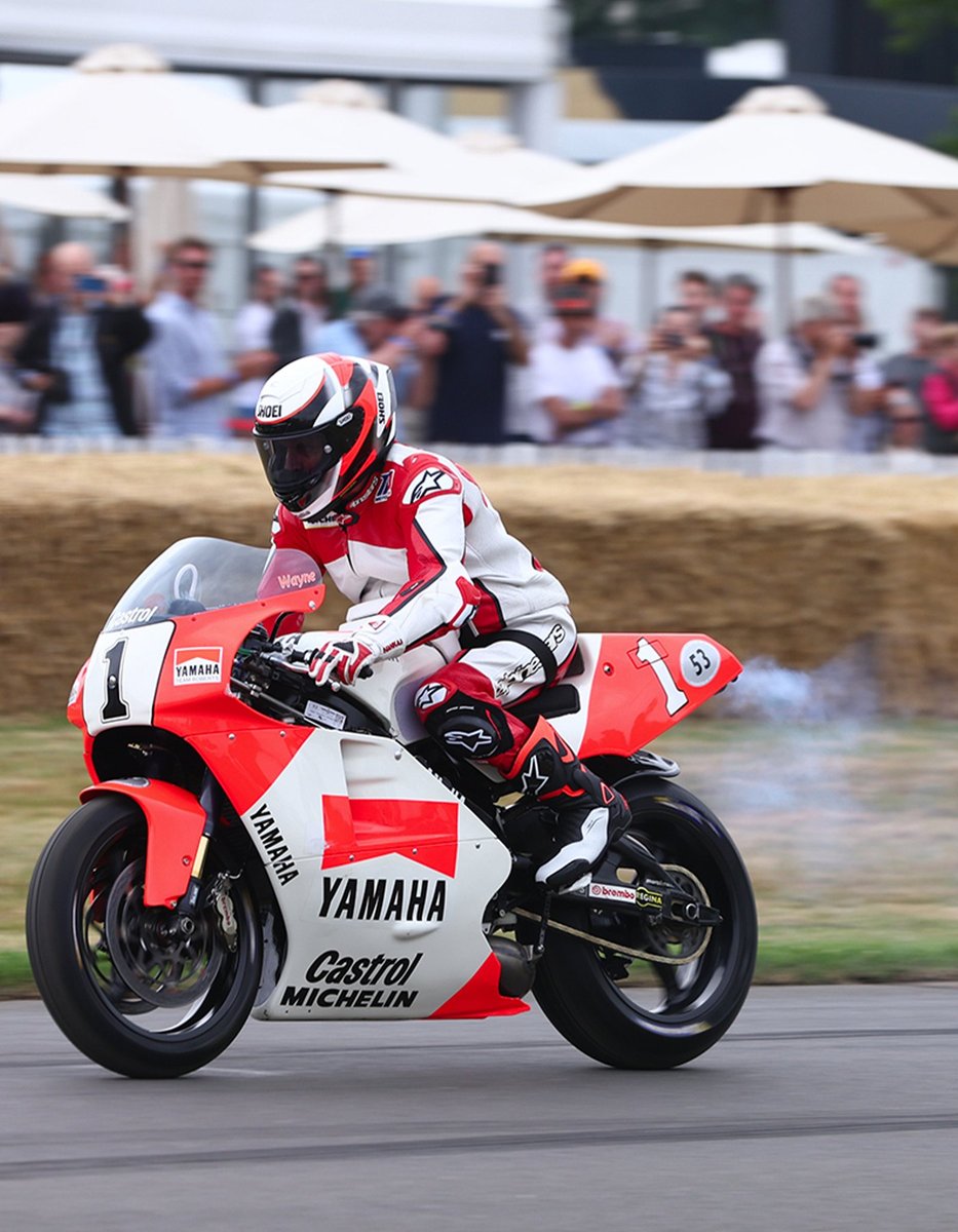 Wayne Rainey