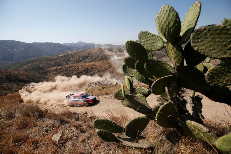 Thierry Neuville, Hyundai Motorsport