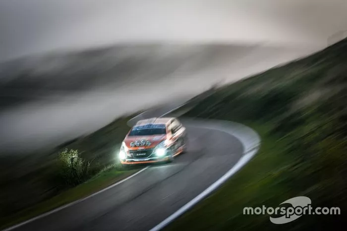 Davide Nicelli, Alessandro Mattioda, Peugeot 208, La Superba