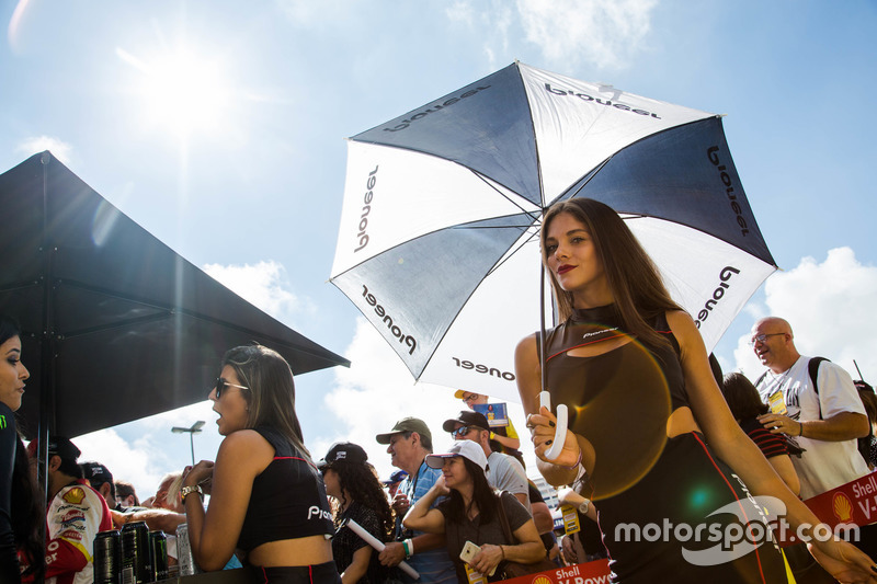 Grid girls