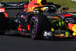 Daniel Ricciardo, Red Bull Racing RB14 con pintura