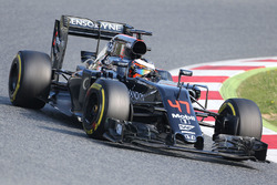 Stoffel Vandoorne, McLaren MP4-31 Test and Reserve Driver