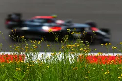 Jenson Button, McLaren MP4-31