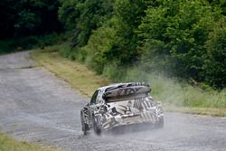 Dieter Depping, Erwin Mombaerts, Volkswagen Motorsport, Volkswagen Polo R WRC 2017