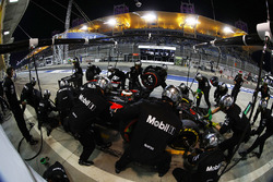 Stoffel Vandoorne, McLaren MP4-31 in the pits