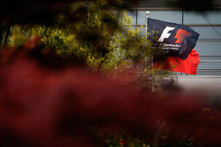F1 flags