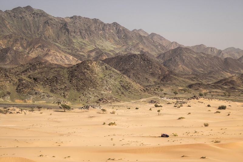 #219 I Dacia Sandriders Dacia: Sebastien Loeb, Edouard Boulanger