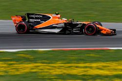 Stoffel Vandoorne, McLaren MCL32