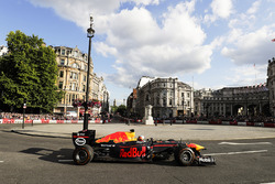 Daniel Ricciardo, Red Bull Racing