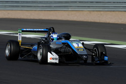 Ralf Aron, Hitech Grand Prix, Dallara F317 - Mercedes-Benz
