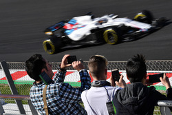 Болельщики и Сергей Сироткин, Williams FW41