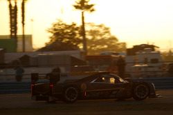 #5 Action Express Racing Cadillac DPi: Joao Barbosa, Filipe Albuquerque, Christian Fittipaldi