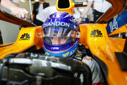 Fernando Alonso, McLaren, in his cockpit